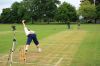 CricketAM0011.JPG